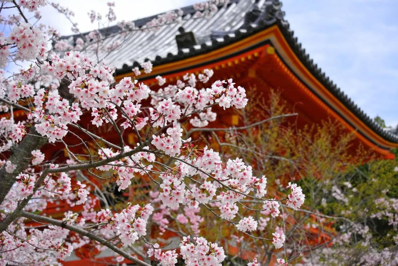 Stay Sakura Kyoto Fuga Luaran gambar